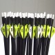  Arrows Carbon 500 Spine Hunting 36'
